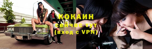 МДПВ Александровское