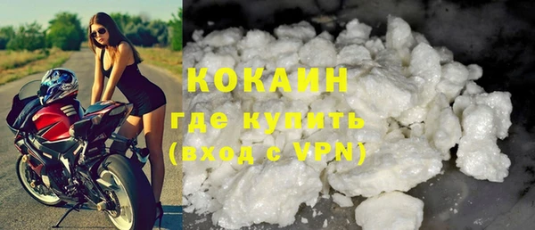 шишки Порхов
