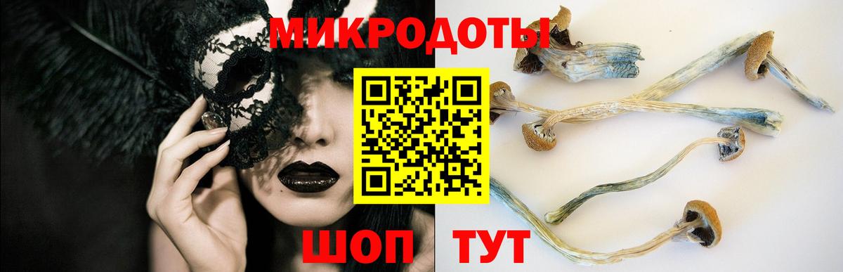 Невинномысск  Псилоцибиновые грибы Psilocybe  Вход с VPN  Псилоцибиновые грибы MAGIC MUSHROOMS 